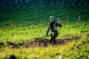 BIB: 
                            <button type="button" onclick="openModal(19160227)" class="btn btn-primary btn-sm float-right btn-popup" data-toggle="modal" data-target=".modal-high-quality">
                        <i class="fas fa-shopping-cart"></i> Add to Cart
                    </button>
                                            <button type="button" onclick="isThisMe(19160227, true)" class="btn btn-success btn-sm float-right btn-popup btn-isme hidden" data-toggle="tooltip" data-placement="bottom" title="นี่คือรูปของคุณใช่ไหม คลิกที่นี่เพื่อเอาเข้าอัลบั้ม">
                        <i class="fas fa-plus"></i> Add to album
                    </button>
                    <button type="button" onclick="isThisMe(19160227, false)" class="btn btn-warning btn-sm float-right btn-popup btn-isnotme hidden">
                        <i class="fas fa-ban"></i> Remove from album
                    </button>